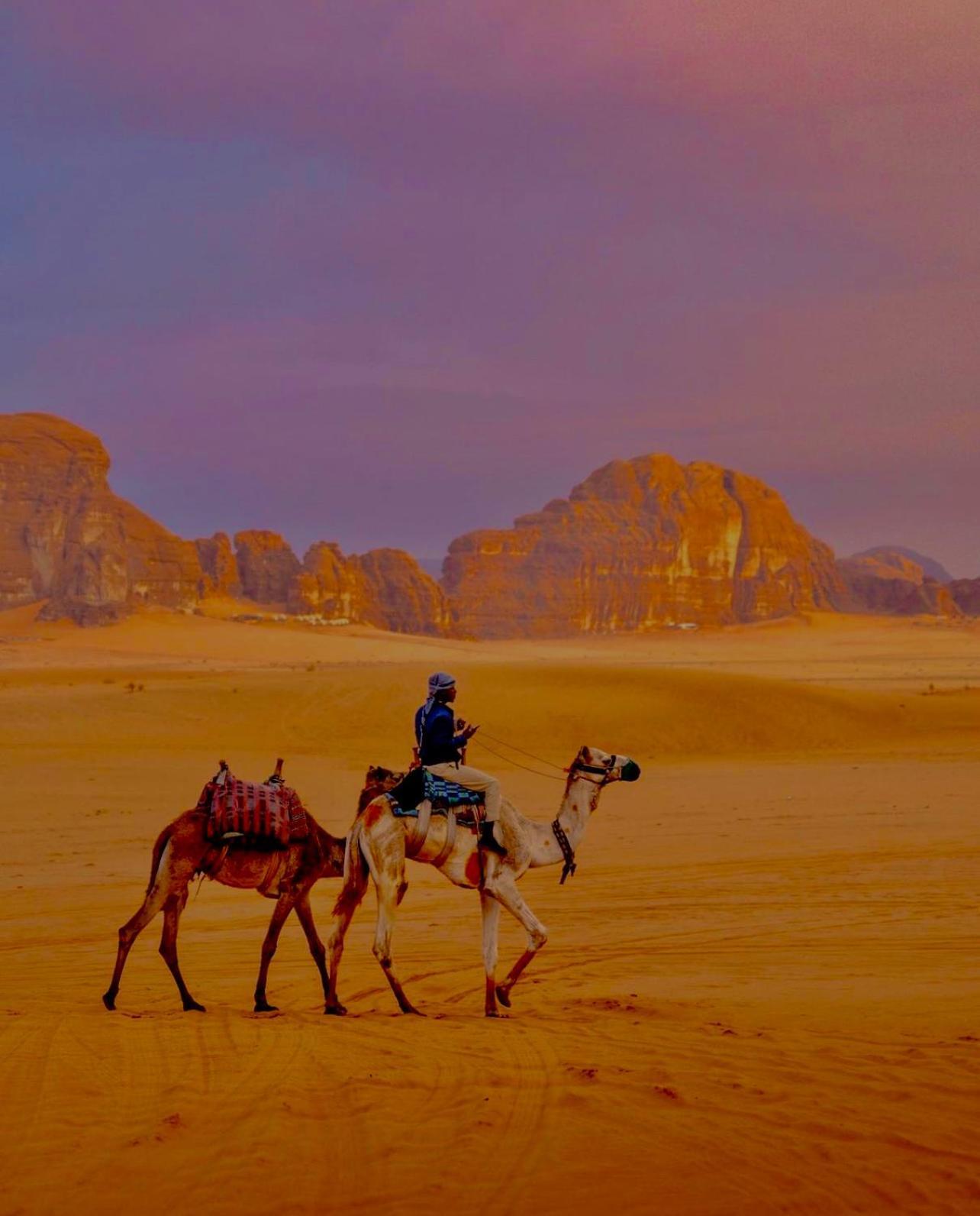 Wadi Rum Meteorite Camp Bed & Breakfast Eksteriør bilde